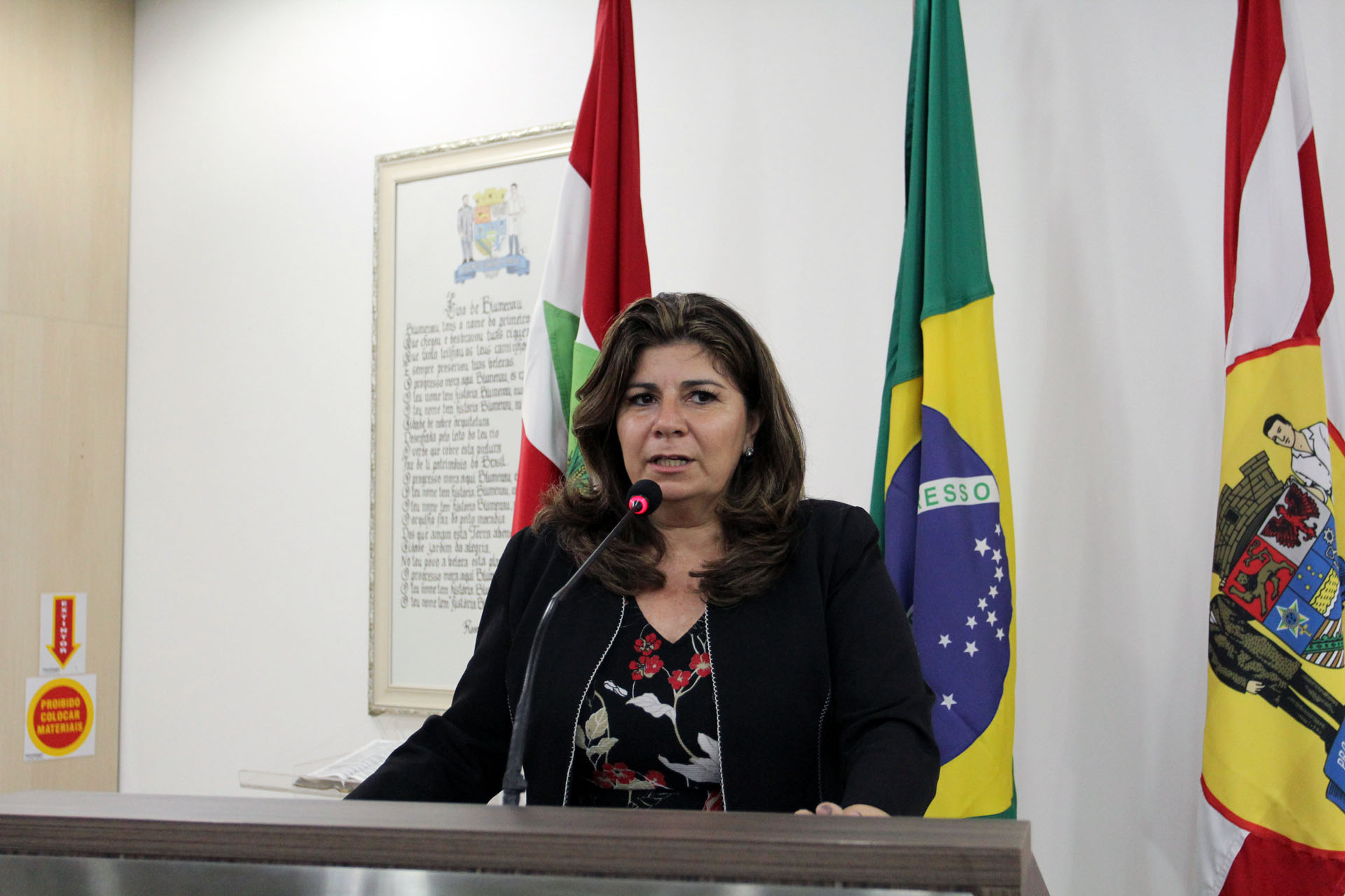 Coordenadora do Conselho do Idoso divulga na tribuna a realização do I Fórum Municipal da Pessoa Idosa de Blumenau