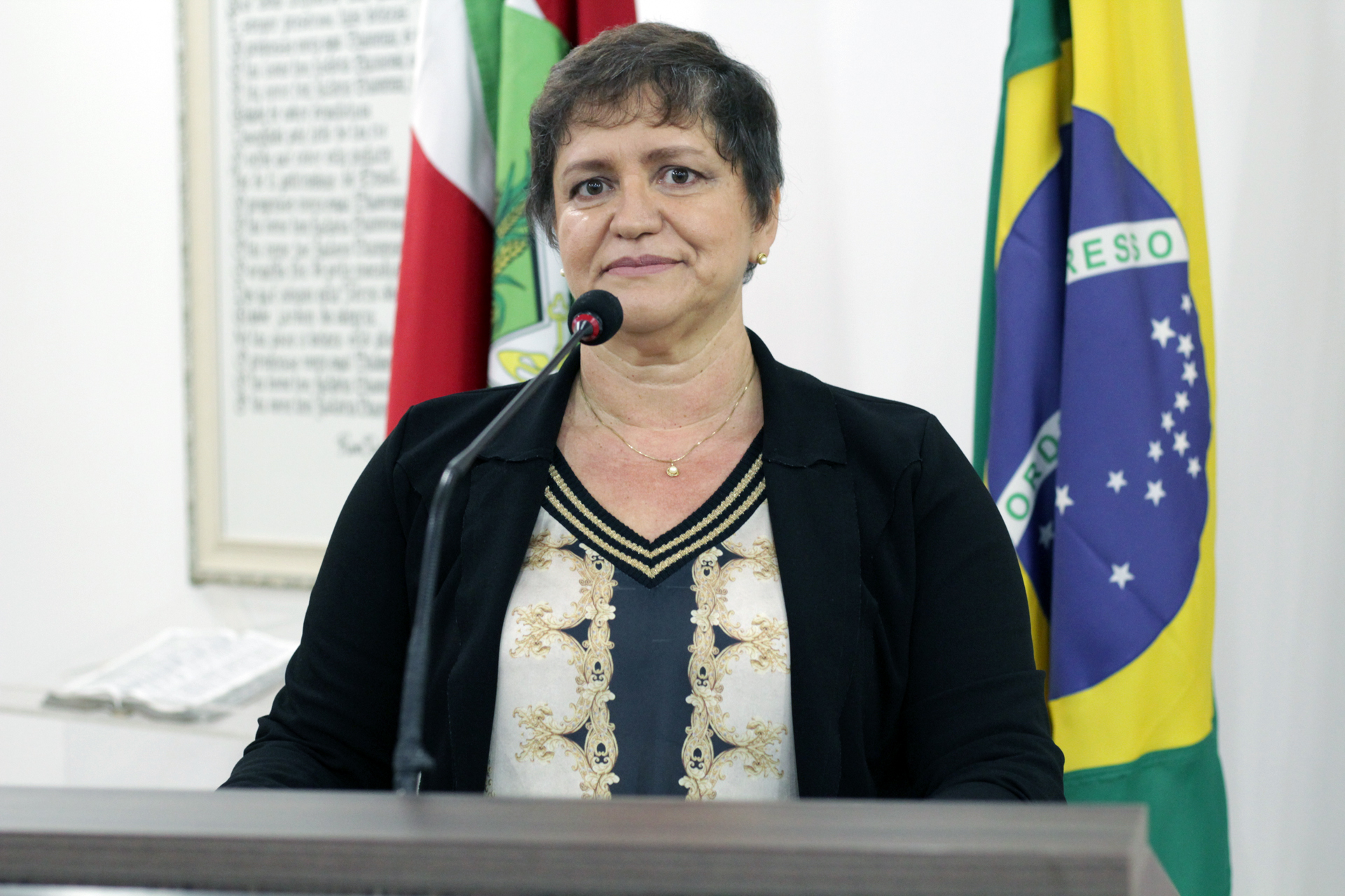 Pesquisa sobre práticas jurídicas na mitigação de desastres ambientais nos municípios da Bacia Hidrográfica do Itajaí é apresentada na Câmara