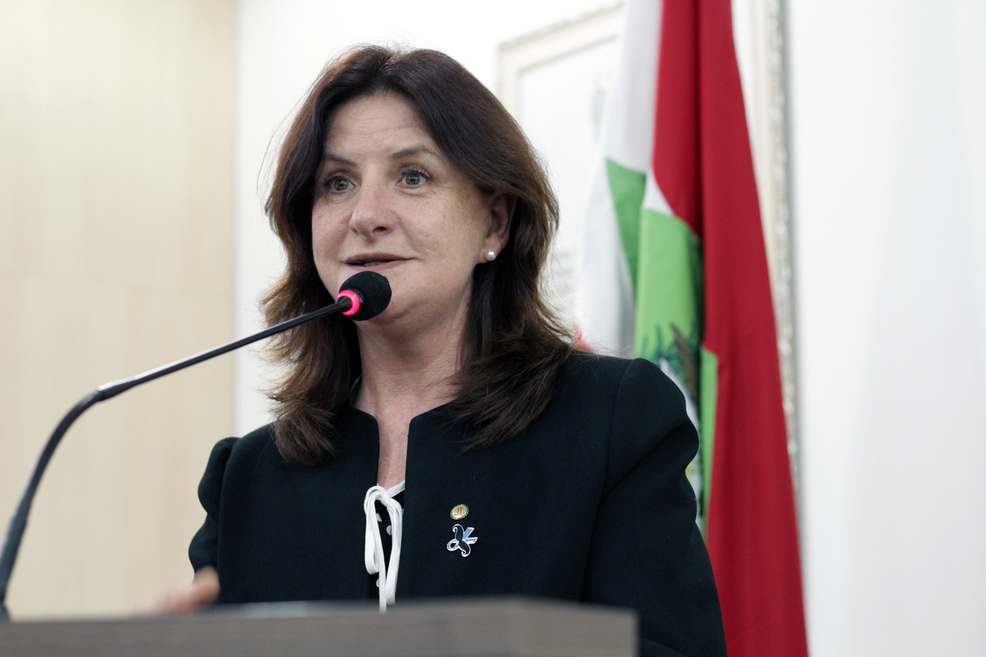 Deputada federal Carmen Zanotto ocupa a tribuna da Câmara para cumprimentar correligionário pela posse e fala de bandeiras que defende