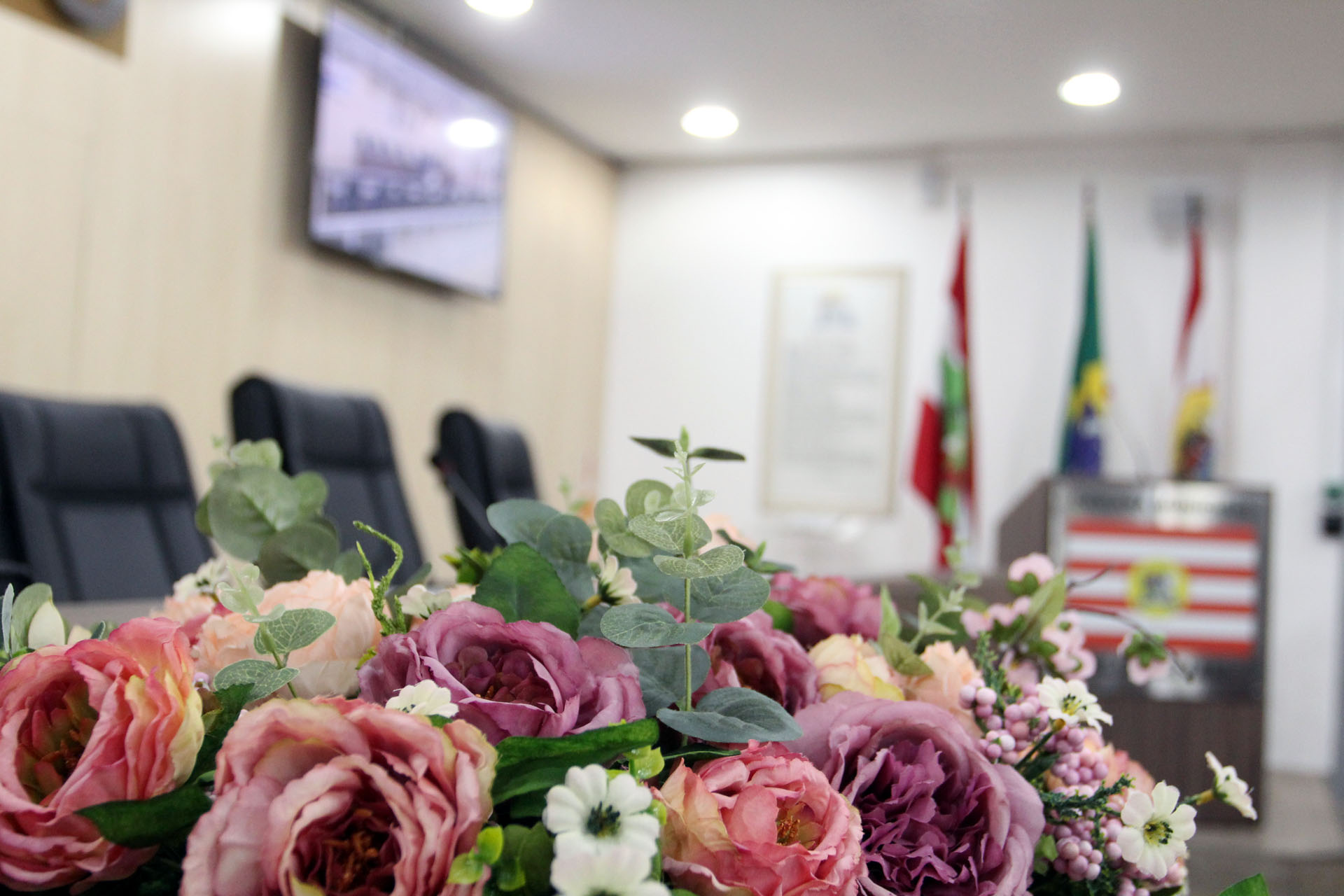 Comarca de Blumenau recebe homenagem