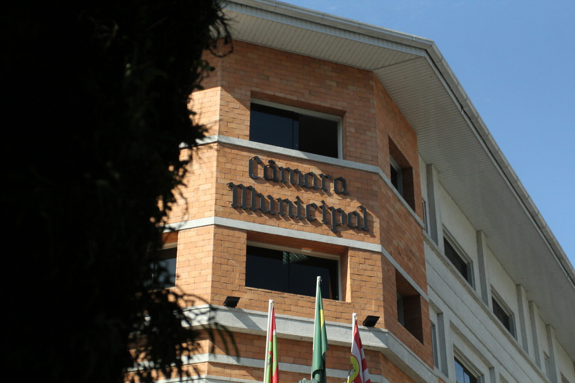 Câmara de Vereadores retoma atendimento sob nova Mesa Diretora