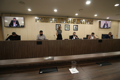 CCJ dá parecer favorável a projeto que cria Frente Parlamentar em Defesa de Políticas Públicas para Pequenos Empreendedores