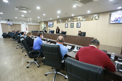 Câmara aprova criação da Comenda Municipal do Mérito Feminino Celina Guimarães Vianna