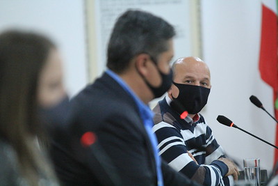 Comissões de Educação, Transportes e Agricultura dão pareceres favoráveis a projeto em favor dos animais