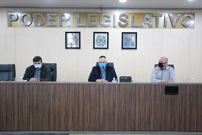 Comissão Especial de Análise dos Serviços de Telefonia vai convocar operadoras para apresentarem planos de investimentos na cidade