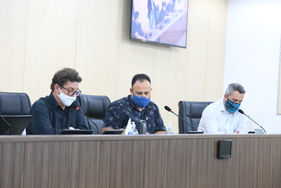 Comissão de Finanças dá pareceres favoráveis a 16 projetos de lei e recebe Plano Plurianual de investimentos 2022/2025