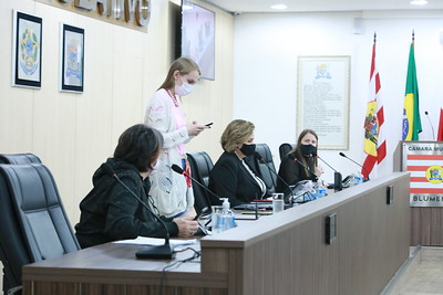 Comissões de Educação, Transportes e Agricultura dão pareceres favoráveis a seis propostas