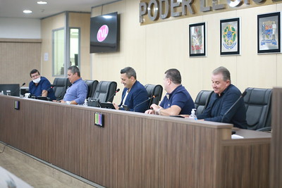 Comissão de Análise às Emendas à Lei Orgânica dá pareceres favoráveis a uma proposta, emenda e subemenda