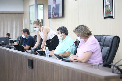 Comissão de Finanças dá parecer favorável a substitutivo global