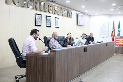 Plano Municipal de Arborização é assunto tratado na Comissão de Transportes com secretários de Planejamento e de Meio Ambiente