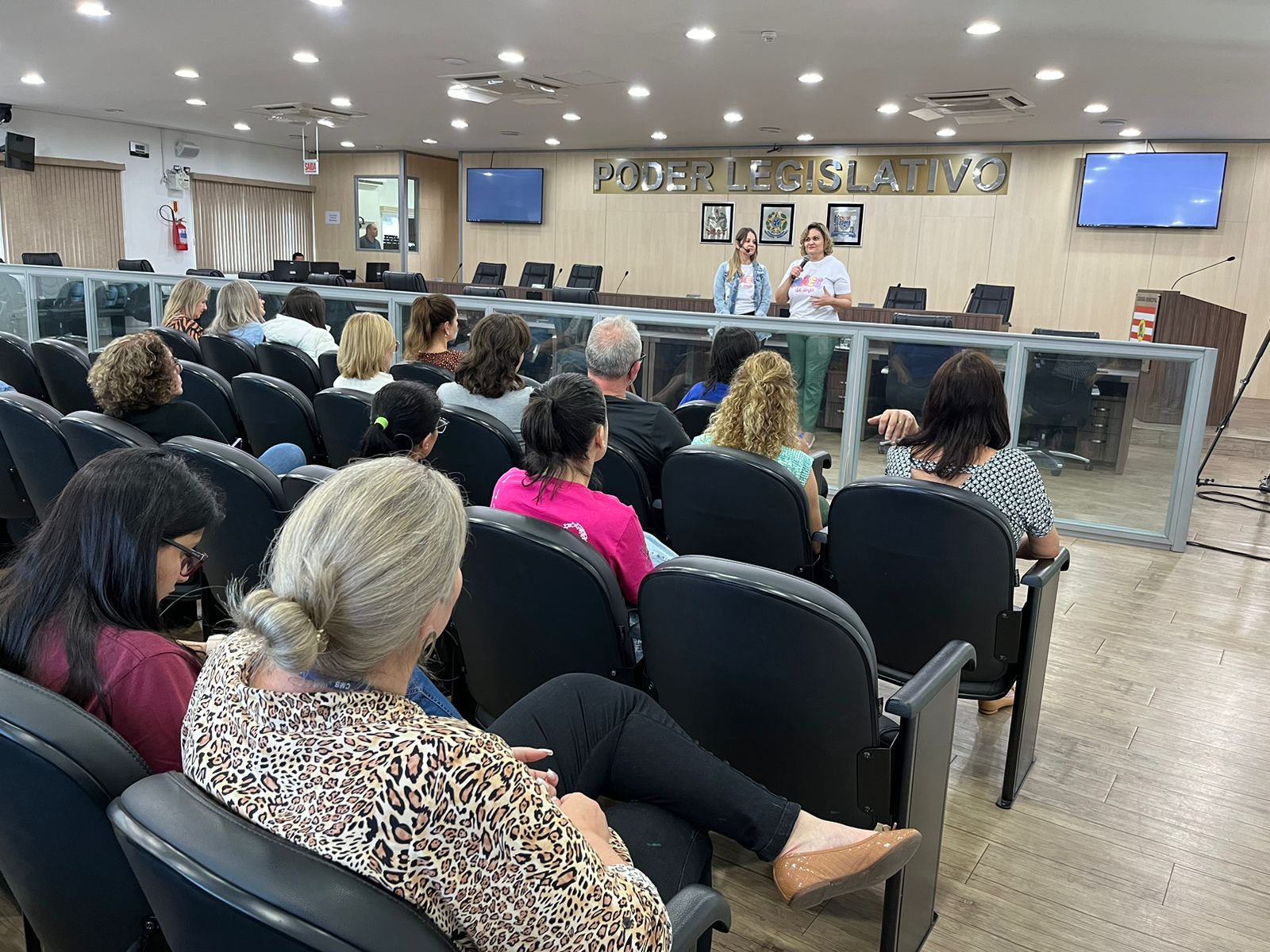 Palestra sobre luto gestacional na Câmara de Vereadores destaca implantação de projeto de políticas públicas na cidade