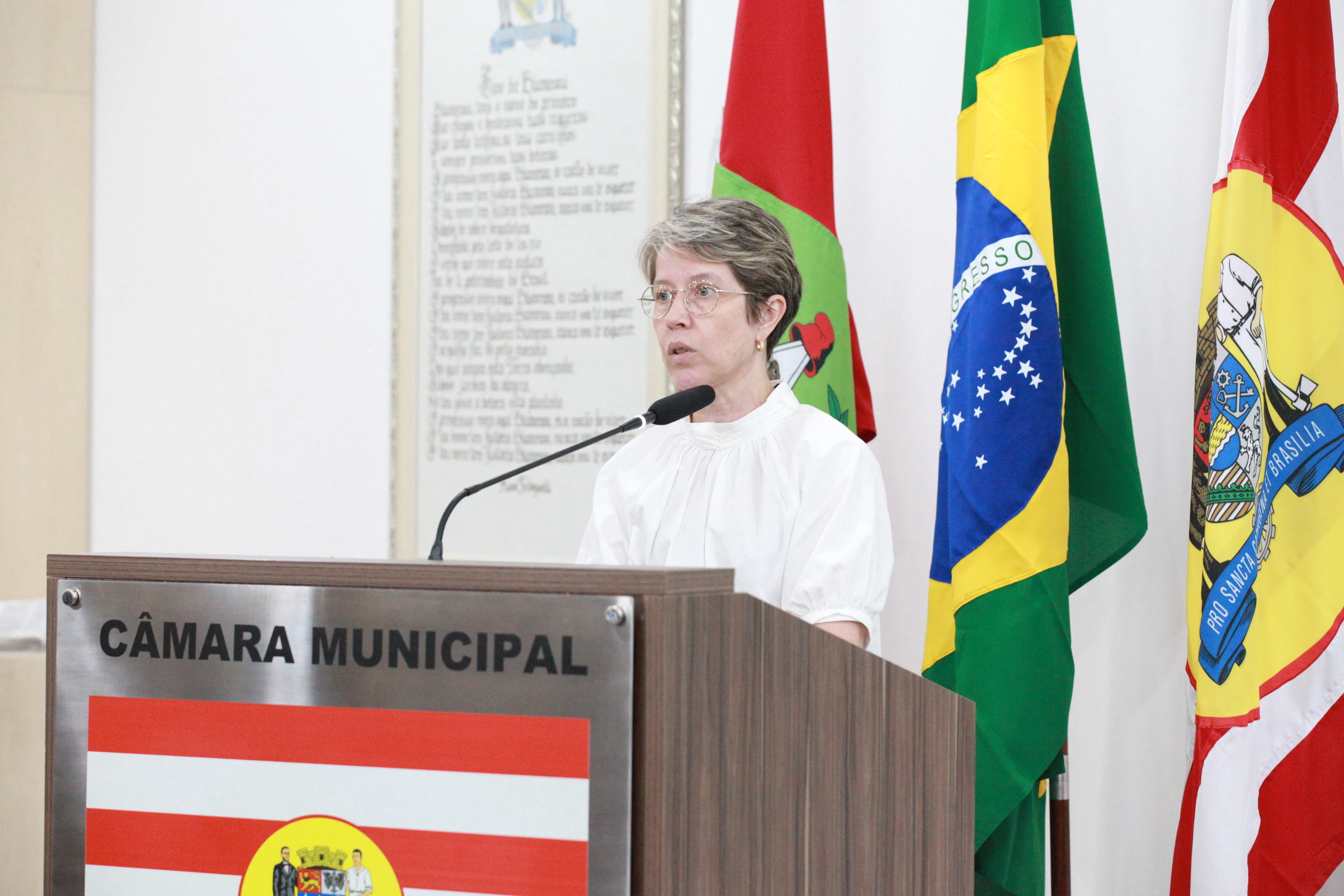 Vice-prefeita de Blumenau prestigia posse do vereador Fernando Mantau   