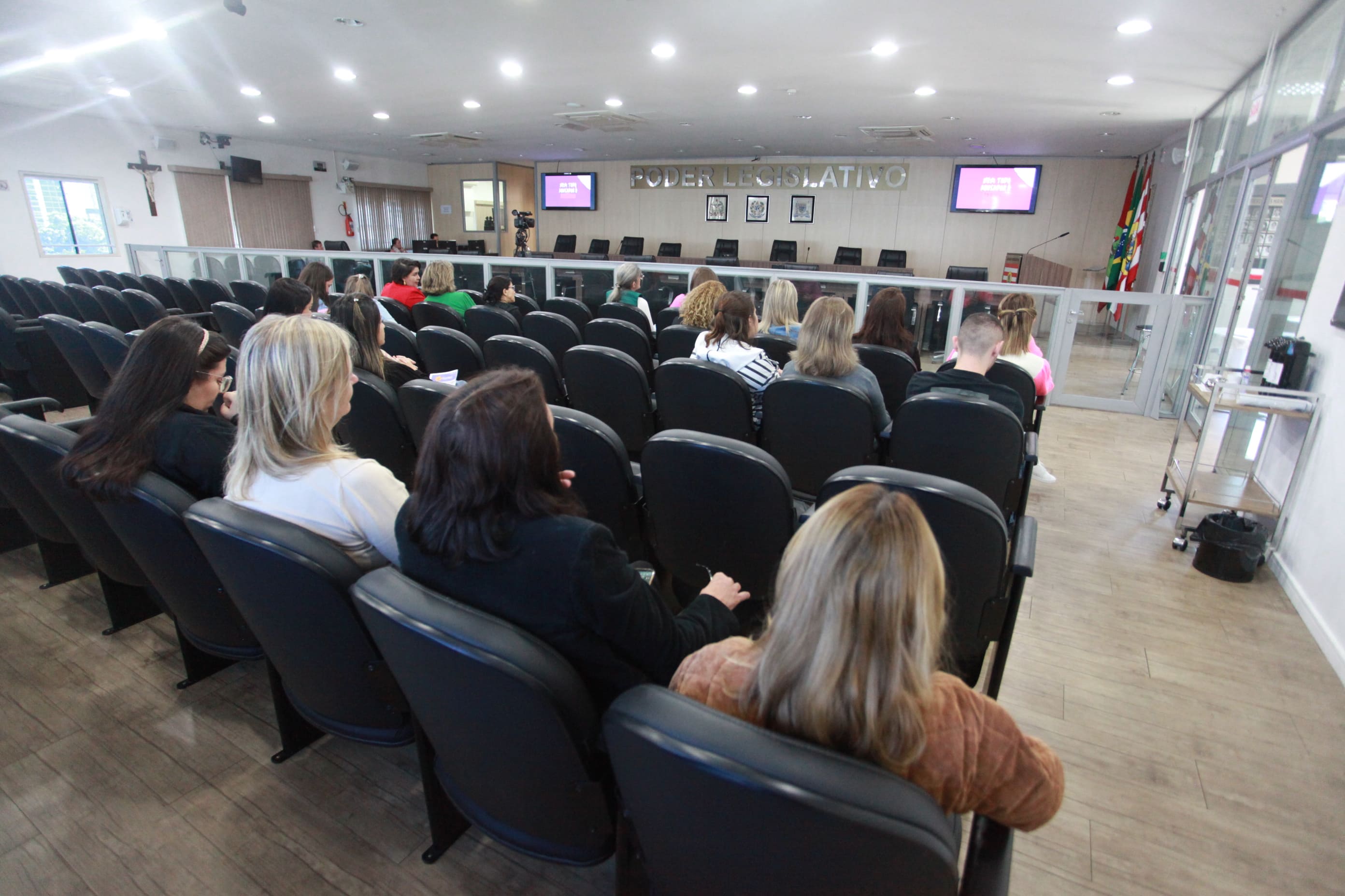 Procuradoria da Mulher da Câmara e Comitê de Violência do Município  promovem palestra sobre a importância da prevenção à violência sexual  contra crianças e adolescentes - Câmara Municipal de Blumenau