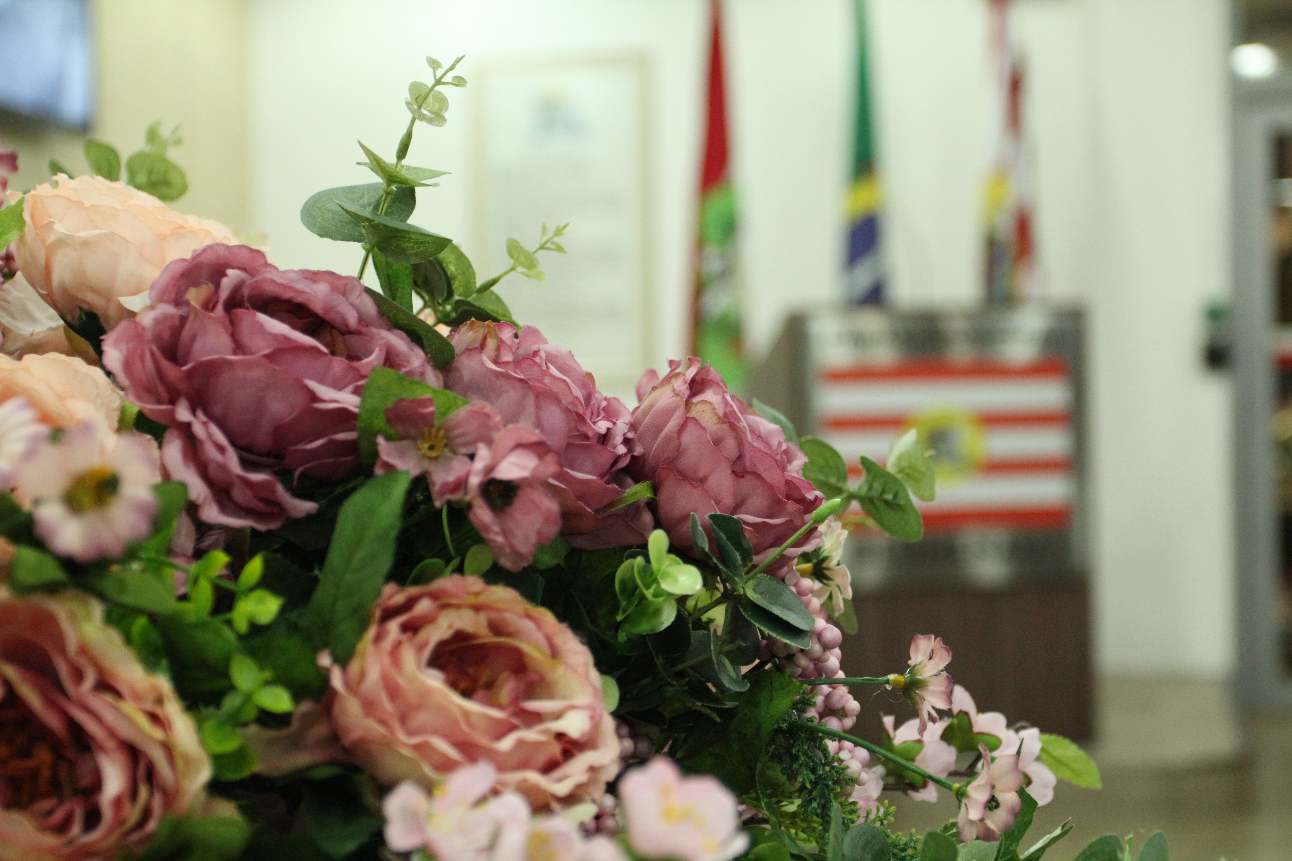 Legislativo Blumenauense vai entregar comendas e homenagem nesta terça-feira