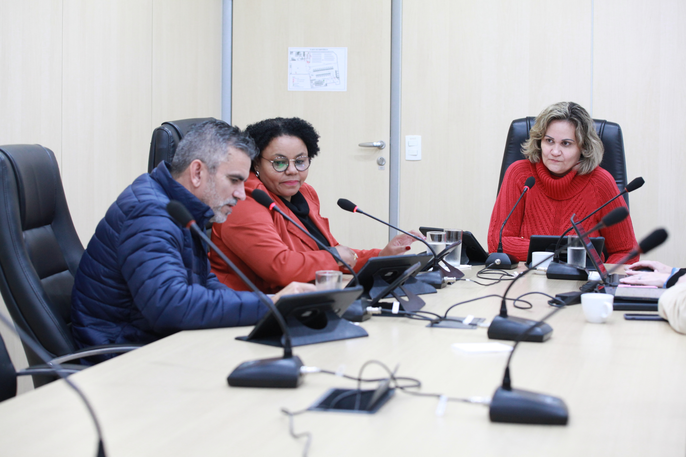 Três projetos de lei e três emendas passam pelas Comissões de Educação, de Transportes e de Turismo 