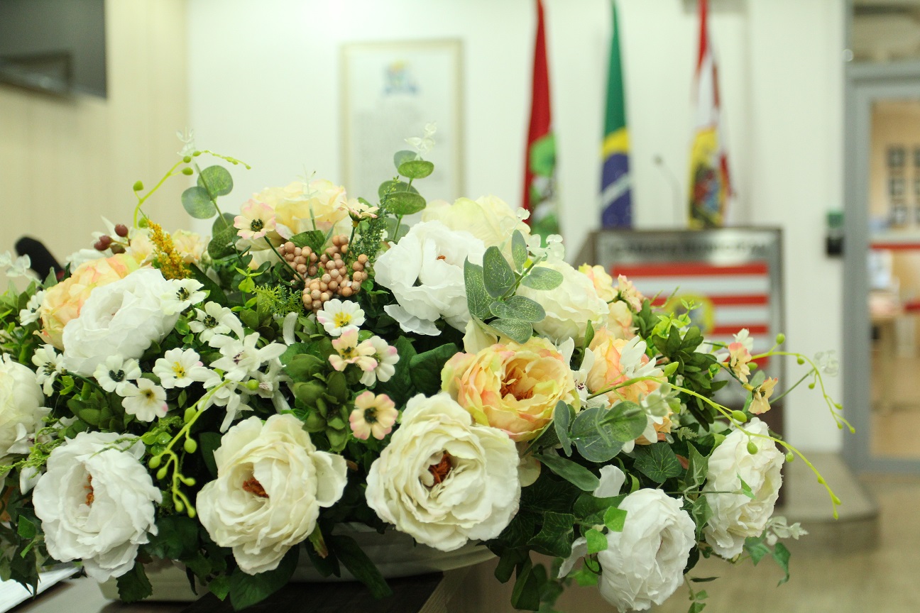 Legislativo de Blumenau vai entregar Comendas Municipais do Mérito nesta quinta-feira (30)