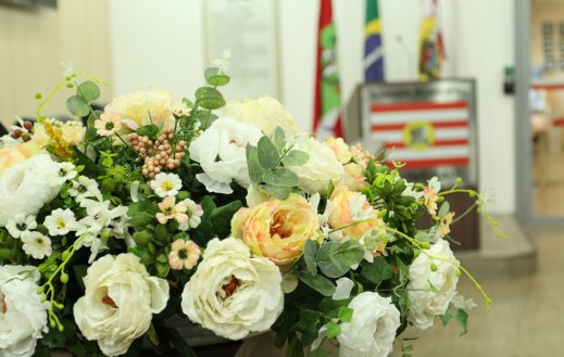 Câmara Mirim vai realizar sessão solene em homenagem aos professores na próxima segunda-feira (21)