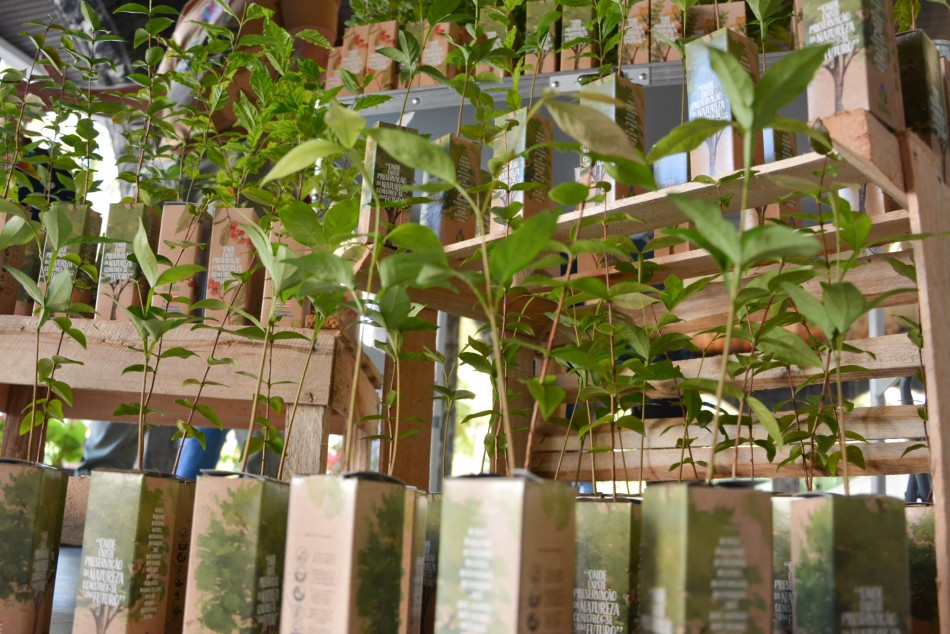 Câmara promove distribuição gratuita de mudas em ação do Junho Verde