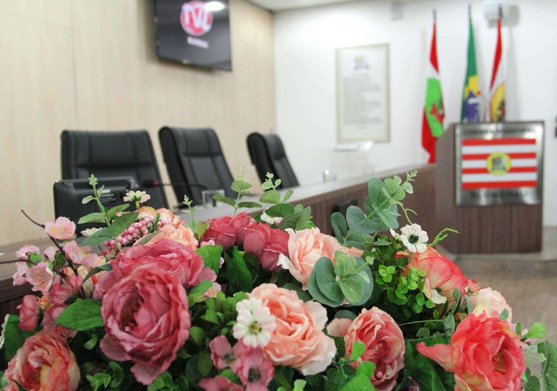 Legislativo blumenauense homenageia personalidades em sessão solene nesta terça