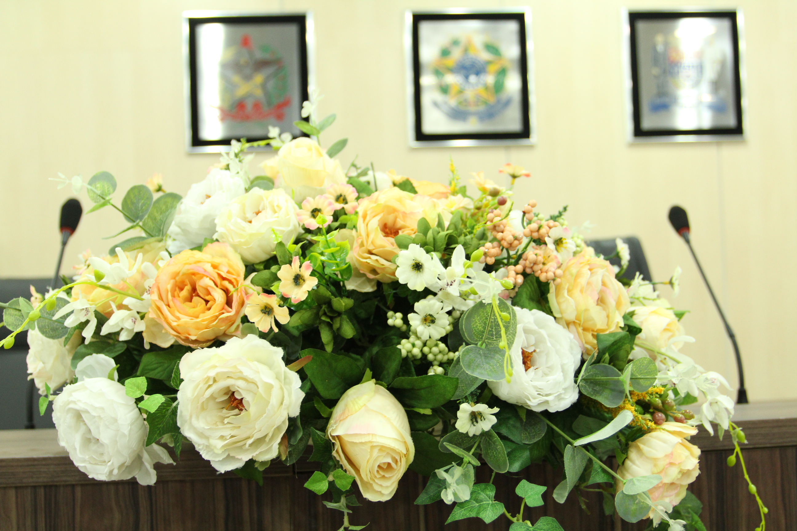 Câmara de Blumenau entrega honrarias a destaques da comunidade em sessão solene