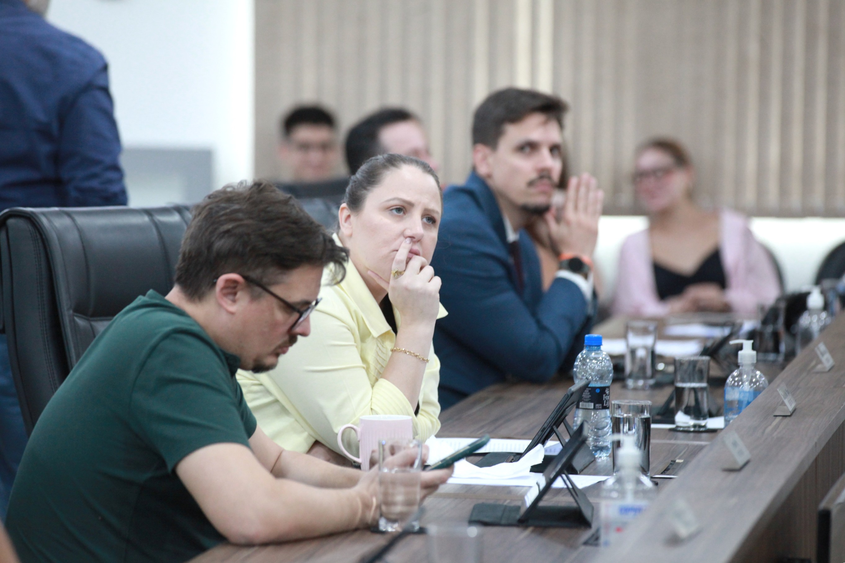 Câmara de Blumenau aprova programa de conscientização sobre fogos de baixo ruído