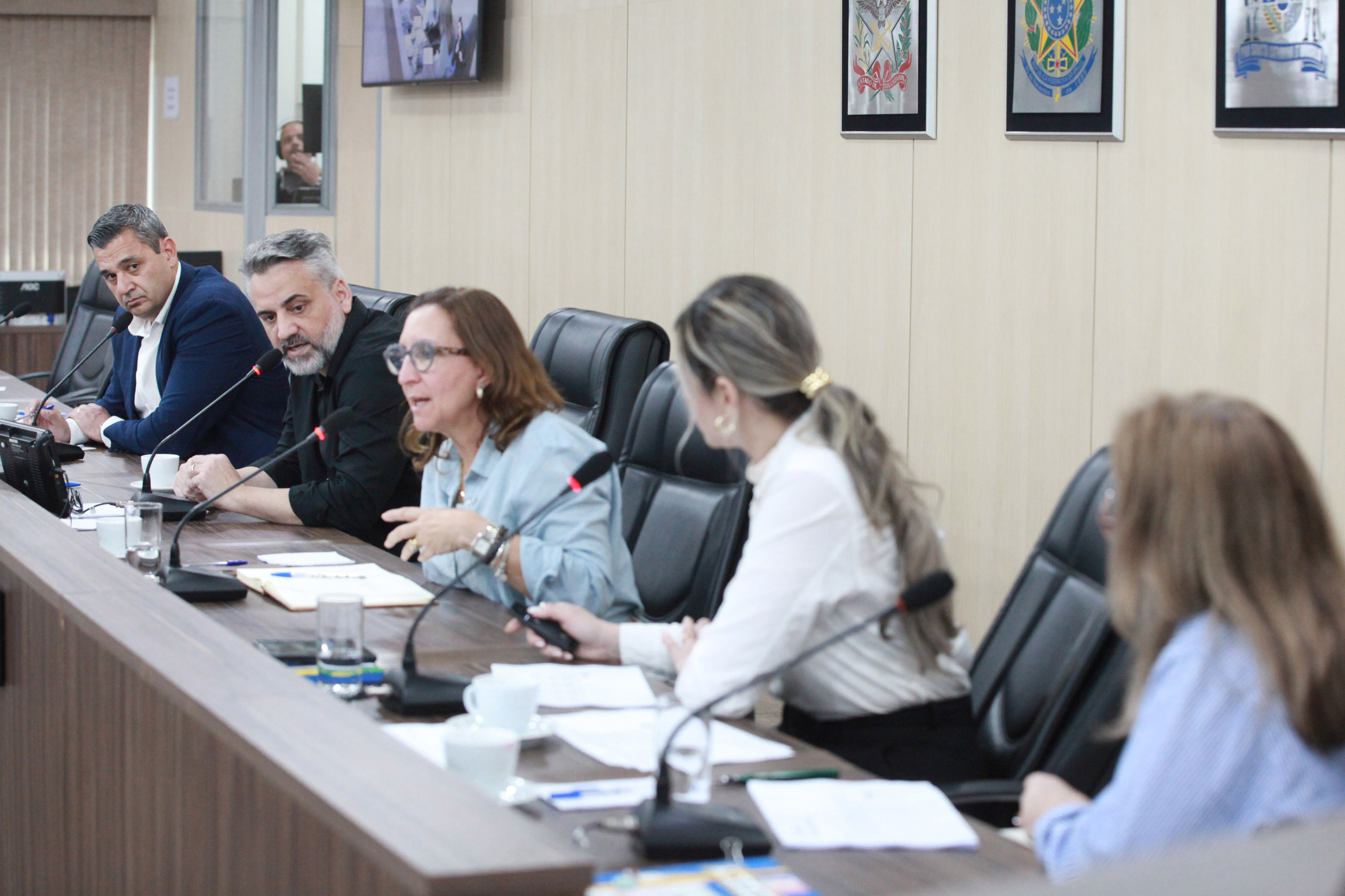 Comissão de Educação debate investimentos, manutenção e planejamento da rede municipal de ensino