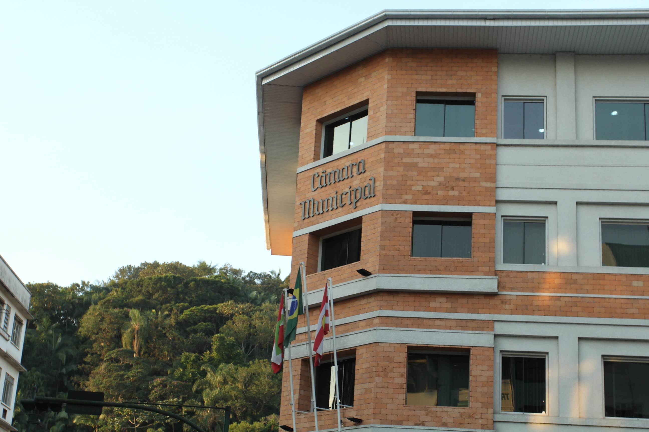Comissão da Câmara sobre HIV, Aids e demais endemias realiza reunião nesta quinta-feira