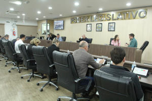 Sessão Ordinária 06/09 