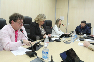 Comissão de Finanças 04/10 