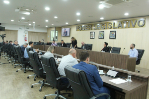 Sessão Ordinária 11/10 