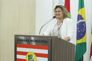 Sessão Ordinária 27/10 