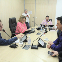 Comissão de Finanças 01/11 