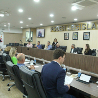 Sessão Ordinária 01/11 