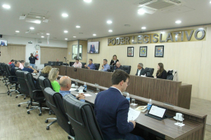 Sessão Ordinária 01/11 