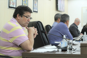 Sessão Ordinária 01/11 