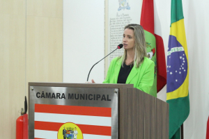 Sessão Ordinária 01/11 