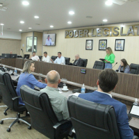 Sessão Ordinária 03/11 