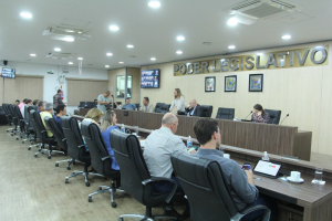 Sessão Ordinária 08/11 