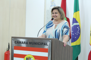 Sessão Ordinária 08/11 