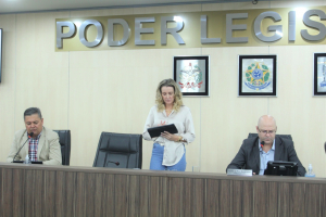 Sessão Ordinária 08/11 