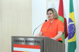 Sessão Ordinária 10/11 