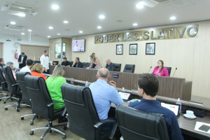 Sessão Ordinária 10/11 