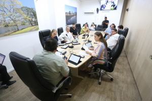 Comissão de Análise às Emendas ao Regimento Interno - 09/02 