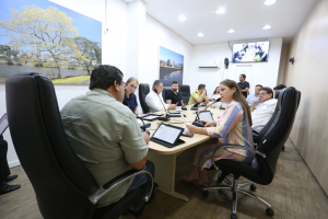 Comissão de Análise às Emendas ao Regimento Interno - 09/02 