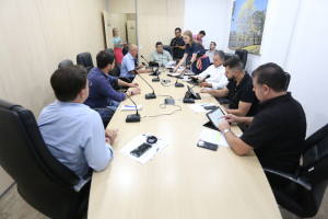 Comissão de Análise às Emendas à Lei Orgânica do Município 