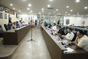 SESSÃO ORDINÁRIA 12.11.2024 