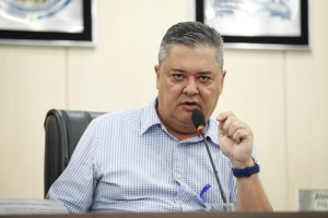 SESSÃO ORDINÁRIA 12.11.2024 