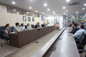 Audiência Pública - Educação Especial - 28.04.2025 Parte II 