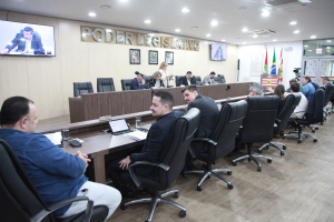 Sessão Ordinária - 19.08.2025 - Parte I 