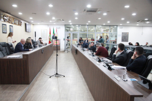 Sessão Ordinária - 19.08.2025 - Parte I 